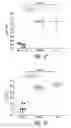 Fig. 62 - COMPOSITIONS AND METHODS FOR TREATING ASTHMA AND OTHER LUNG DISORDERS