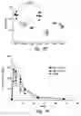 Fig. 63 - COMPOSITIONS AND METHODS FOR TREATING ASTHMA AND OTHER LUNG DISORDERS