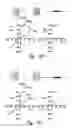 Fig. 72 - COMPOSITIONS AND METHODS FOR TREATING ASTHMA AND OTHER LUNG DISORDERS