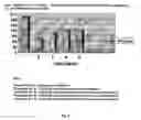 Fig. 06 - Water formulation with herbal hint and a process therefor