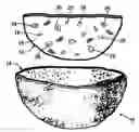 Fig. 01 - OMELET IN A PITA POCKET BREAD