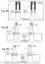Fig. 09 - Method of forming dielectric layer above floating gate for reducing leakage current