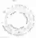 Fig. 04 - Antibody libraries