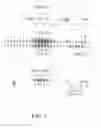 Fig. 02 - PEPTIDES BINDING THE PHOSPHATASE 2A PROTEIN