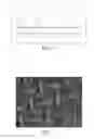 Fig. 02 - TRIGGERED RELEASE OF DRUGS FROM POLYMER PARTICLES