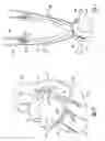 Fig. 04 - System and method for filtering neural stimulation