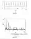 Fig. 17 - System and method for filtering neural stimulation