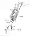 Fig. 02 - Steerable fishing lure