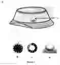 Fig. 02 - DEVICE AND METHOD FOR IDENTIFYING A CHANGE IN A PREDETERMINED CONDITION
