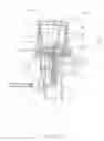 Fig. 07 - Automatic flush actuation apparatus