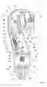 Fig. 05 - Stop element for a securing device