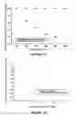 Fig. 08 - Apparatus and methods for real-time verification of radiation therapy