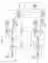 Fig. 18 - Demodulator, diversity receiver, and demodulation method