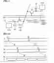 Fig. 07 - Non-rectangular pixel array and display device having same