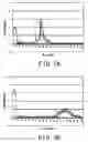Fig. 07 - Optical tomographic image photographing apparatus
