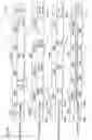 Fig. 45 - Moving picture coding method, and moving picture decoding method
