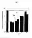Fig. 02 - Method of producing pvp/fullerene complex and aqueous solution thereof