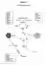 Fig. 12 - Quantitative Trait Loci and Somatostatin