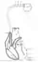 Fig. 02 - IMPLANTABLE CARDIAC DEVICE FEEDTHRU/HEADER ASSEMBLY