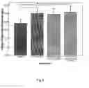 Fig. 06 - METAL OXIDE SCAFFOLDS