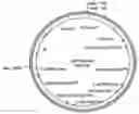 Fig. 01 - Corn event PV-ZMGT32(nk603) and compositions and methods for detection thereof