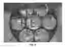 Fig. 08 - Plenoptic camera
