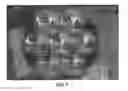 Fig. 09 - Plenoptic camera
