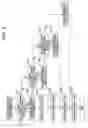 Fig. 06 - IMAGE FORMING APPARATUS
