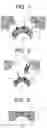 Fig. 04 - Apparatus for introducing substance into cells