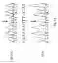 Fig. 06 - Genetically Altered Anti-body Producing Cell Lines With Improved Antibody Characteristics