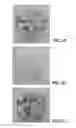 Fig. 02 - Defined cell culturing surfaces and methods of use
