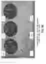 Fig. 10 - Defined cell culturing surfaces and methods of use