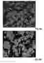 Fig. 12 - Defined cell culturing surfaces and methods of use