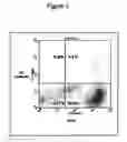 Fig. 04 - Adipose stromal stem cells for tissue and vascular modification