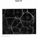 Fig. 07 - Adipose stromal stem cells for tissue and vascular modification