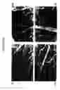 Fig. 14 - Adipose stromal stem cells for tissue and vascular modification