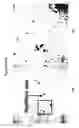 Fig. 15 - Adipose stromal stem cells for tissue and vascular modification