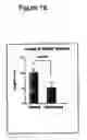 Fig. 19 - Adipose stromal stem cells for tissue and vascular modification