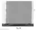 Fig. 04 - Nanosensors