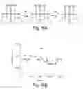 Fig. 17 - Nanosensors