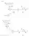 Fig. 13 - Polyamide nucleic acid derivatives and agents, and processes for preparing them