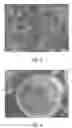 Fig. 04 - Coated abrasive products containing aggregates