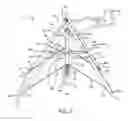 Fig. 04 - ABDOMINAL EXERCISER