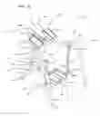 Fig. 10 - ABDOMINAL EXERCISER
