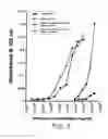 Fig. 04 - Recombinant toxin fragments