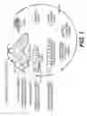 Fig. 02 - Surgically implanted micro-platforms and microsystems in arthropods and methods based thereon