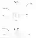 Fig. 02 - Winged vias to increase overlay margin