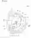 Fig. 06 - Door latch apparatus for vehicle