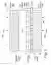 Fig. 06 - Construction Structures and Manufacturing Processes for Integrated Circuit Wafer Probe Card Assemblies