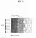 Fig. 03 - Permanent magnet and method of manufacturing same
